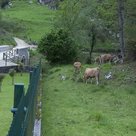 Dağ evi El Prau La Iglesia - Llanes *